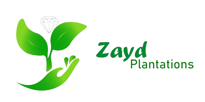 zaydplantations.com